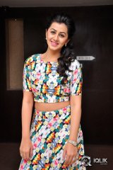 Nikki Galrani at Krishnastami Movie Success Meet